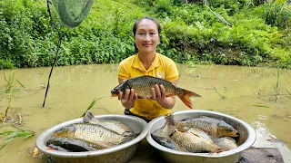 Harvesting Carp Ponds and bring them to the market to sell, my daily life | Ly Thi Tam