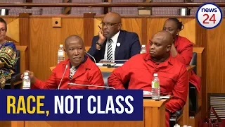 WATCH: Julius Malema on changing the constitution regarding land expropriation