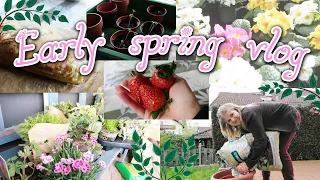 [🌷Spring Diary: March] Enjoying the first spring days | 🌱 plant shopping, gardening, baking