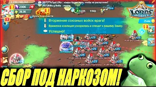 Принял сбор под наркозом🤕