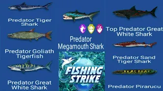 Fishing strike -All predator