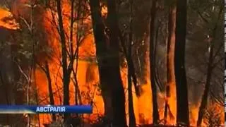Австралия остается в плену лесных пожаров