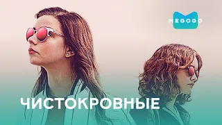 Чистокровные - Фильм. Бесплатно на Megogo.net новые фильмы, сериалы, мультфильмы. Трейлер