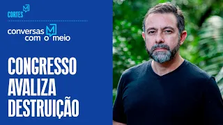 "Elegemos um Congresso destruidor do meio ambiente", diz Marcio Astrini, do Observatório do Clima