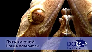 Пять ключей - Часть 2. Новые материалы   - Документальный фильм