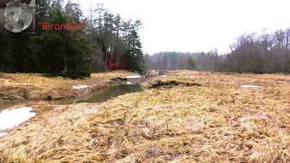 Atradumi ar mežu apstādītos laukos./Findings in fields planted with forest.