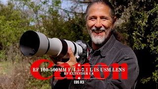 Canon R3,  Canon RF 100-500mm f/4.5-7.1 L IS USM Lens with 1.4 Extender - 700mm at F10 - AMAZING