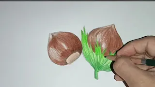 Hazelnuts drawing technique in 3D #satisfying #drawing #3ddrawing