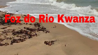 A foz do Rio Kwanza