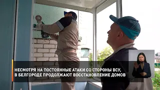 Несмотря на постоянные атаки со стороны ВСУ, в Белгороде продолжают восстановление домов