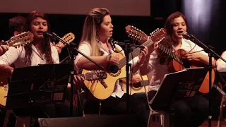 15 - MEU SÍTIO MEU PARAÍSO - ORQUESTRA MARINGAENSE DE VIOLA CAIPIRA