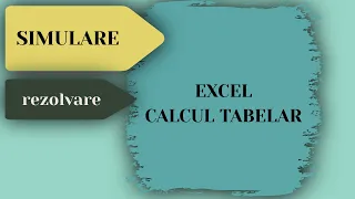 Rezolvare Simulare - EXCEL - Calcul Tabelar