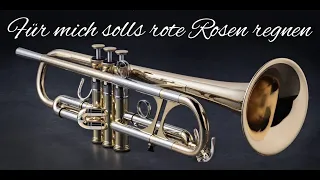 Für mich soll´s rote Rosen regnen (Instrumental)