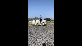 My Horse’s Transformation
