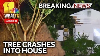 Large tree crashes into Gaithersburg house