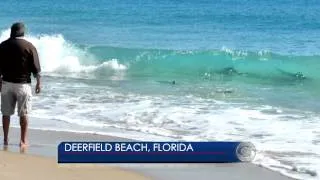 Sharks shut down Florida beaches