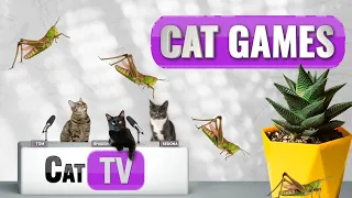 CAT Games | Gary the Grasshopper: Hopping Across America 🦗| Cat TV 4K | Bug Videos For Cats to Watch