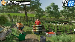 PLANTING VEGETABLES IN FARMING SIMULATOR 22😮 #2 - Hof Bergmann Timelapse Gameplay