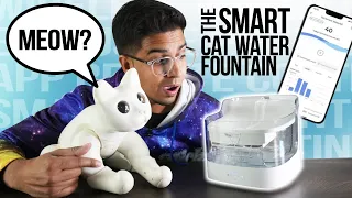 I Bought a Cat Water Fountain for my Robot Cat! - Petgugu Water Fountain Review