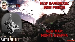 BF1 WAR PIGEON GAMEPLAY - New map Monte Grappa - Details and thoughts