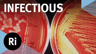 How Do Pathogens Cause Disease and How Can We Fight Them? – with John Tregoning