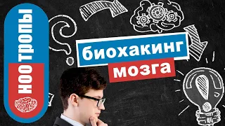 Ноотропы или биохакинг мозга при повышенной умственной нагрузке