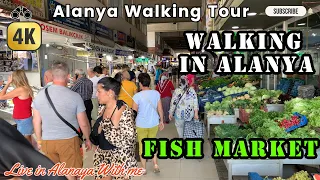 Alanya - Life and Walking Tour in Alanya -  Fish market