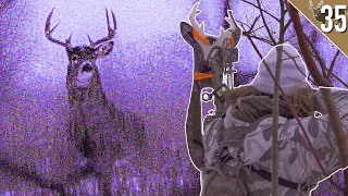 RUTTING BUCKS in a SNOWSTORM! - DOES SNOW CAMO WORK???