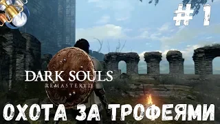 Dark Souls REMASTERED на платину: ч. 1. ИЗБРАННЫЙ МЕРТВЕЦ И ПЕРВЫЕ ТРОФЕИ