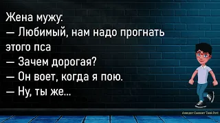 💎В Коридоре Фирмы Стоят Два Электрика...Большой Сборник Смешных Анекдотов,Для Хорошего Настроения!