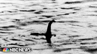 Enthusiasts gather for largest search for Loch Ness monster in decades