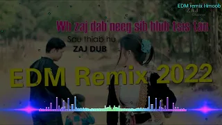 wb zaj dab neeg sib hlub tsi tau EDM remix _ Zaj Dub 2022