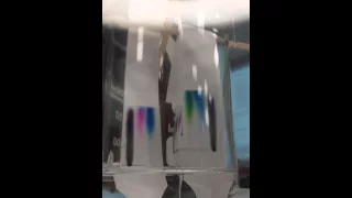 Paper Chromatography time-lapse