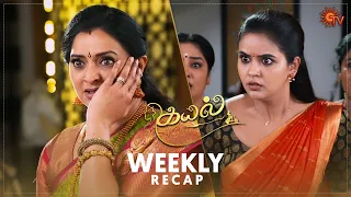 Kayal | Ep 132 - 137 Recap | Weekly Recap | Sun TV | Tamil Serial