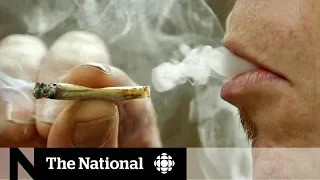 Parents prepare to protect kids from pot