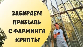 Как Развернуть LP Токены в Сети Poligon (Matic) и Получить Доход с Фармилки PearZap 💰