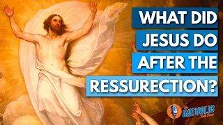What Did Jesus Do For The 40 Days After The Resurrection? | The Catholic Talk Show