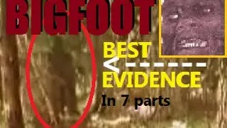 BIGFOOT BEST EVIDENCE - SCIENCE & the YETI, BIGFOOT  & SASQUATCH with REAL FOOTAGE