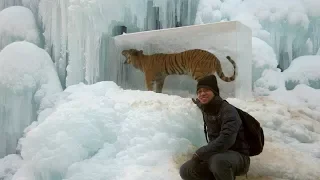 11 Animals Found FROZEN In Ice! (part 2)