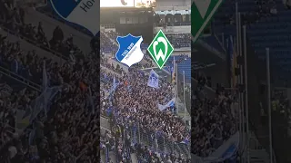 Wie ist das Stadion bei der TSG Hoffenheim?🤔