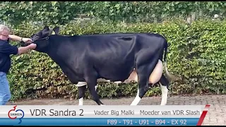 VDR Sandra 2 Big Malki