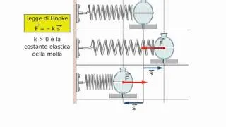 Il moto armonico di una molla
