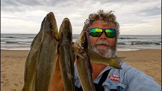 How to Catch BIG Whiting off ANY BEACH - Baits, Rigg and Location (ft Whiting and Bream)