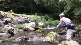 Fly Fishing the Smokies