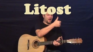 Litost (X Ambassadors) Guitar Lesson Easy Strum Chords How to Play Litost Tutorial