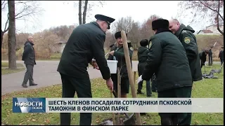 Новости Псков 23.10.2019 / Шесть кленов посадили сотрудники псковской таможни в Финском парке