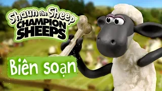 Biên soạn tập đầy đủ 15-21 | Championsheeps | Những Chú Cừu Thông Minh [Shaun the Sheep]