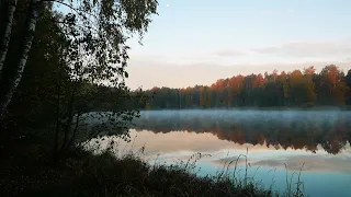 Одиночный поход с ночевкой в Подмосковье. Мороз нам не страшен!