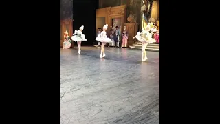 “La Scala Theatre in The Sleeping Beauty, @vanessavestita @marygarret7 👑 #balletclassical   @valew