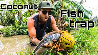 HOW TO CATCH FISH IN 2021... COCONUT FISH TRAP